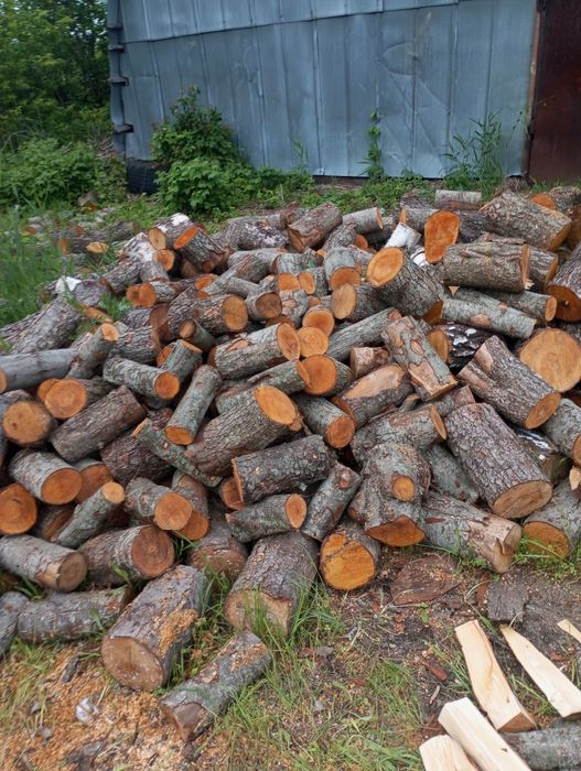 Продам дрова різних порід