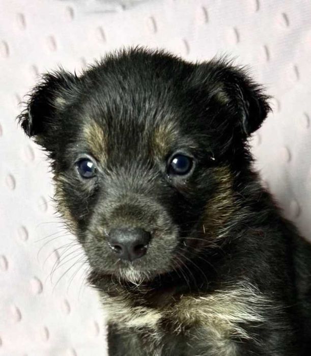 Луна - Самая Лучшая Девочка на Свете, 3 мес