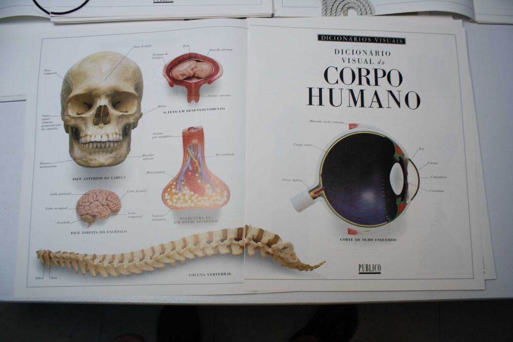 Coleção fascículos "Corpo Humano e outras Grandes Máquinas" do Público