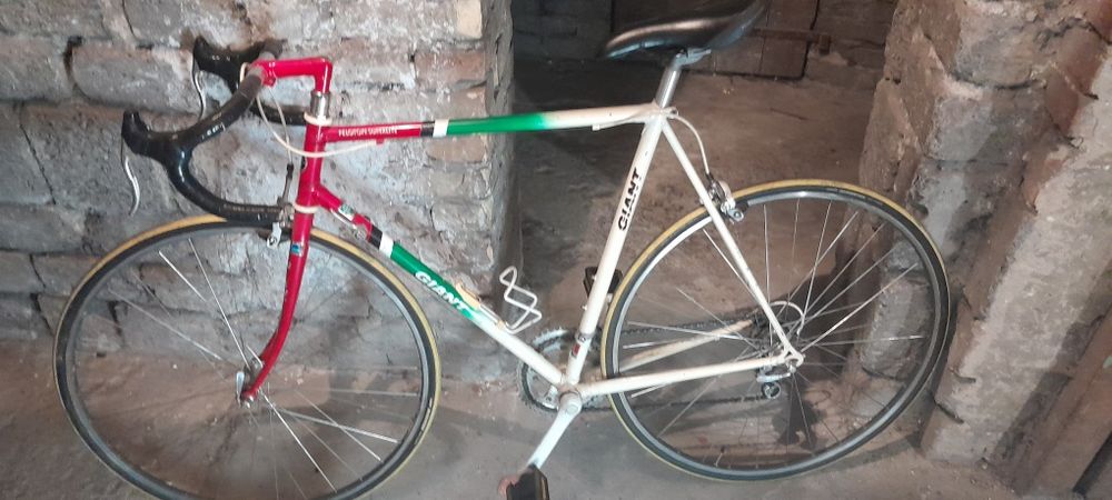 Kolarzówka Giant peleton superline