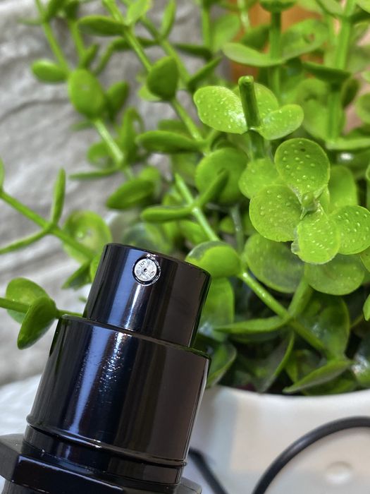 Creed Absolu Aventus 2025