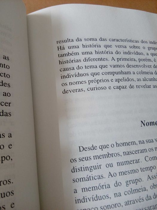 Manuel António Fernandes Moreira