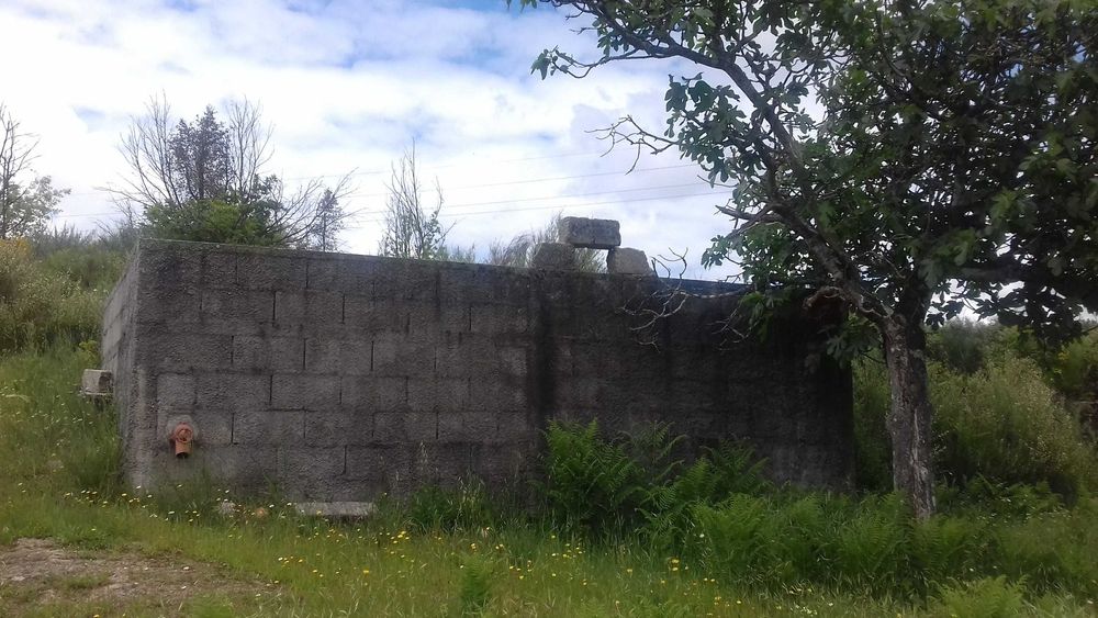 QUINTA  com casa , poço, tanque , vinha .