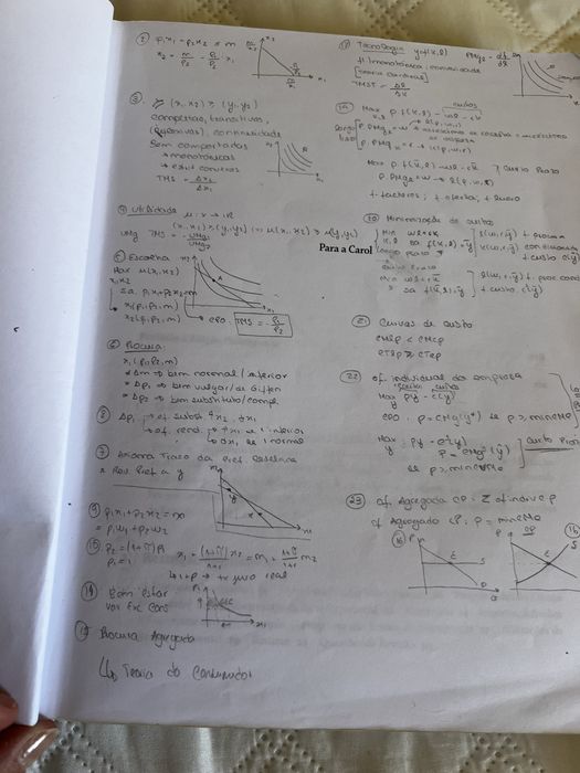 Microeconomia: Uma abordagem Moderna
