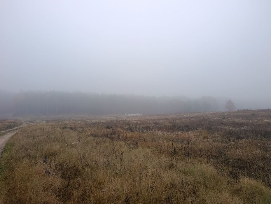 Działki budowlane z wz i mpzp - Ugoszcz (w pobliżu lasu)