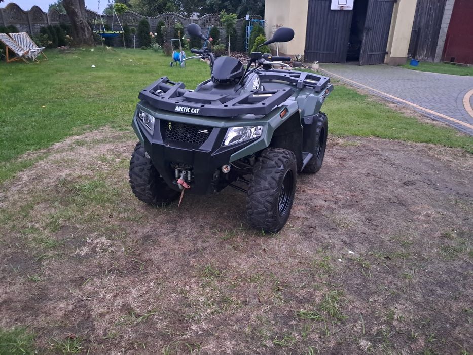 Arctic Cat
