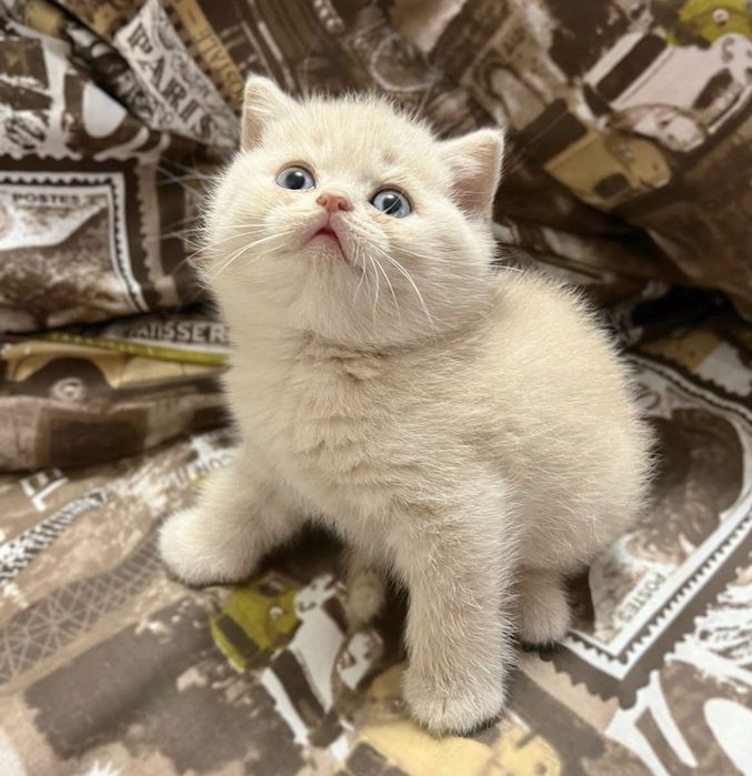 Милая девочка ждёт вас