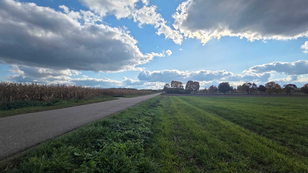 Działka nad Soną - Nowe Miasto