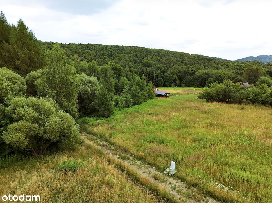 Działka budowlana pod lasem – 1730 m² Glinik Średni - WZ, prąd. - Widok 5