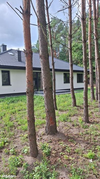 Dom Legionowo Serock Marynino Skowronkowa pod lasem
