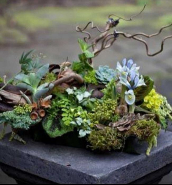 Kompozycja naturalna