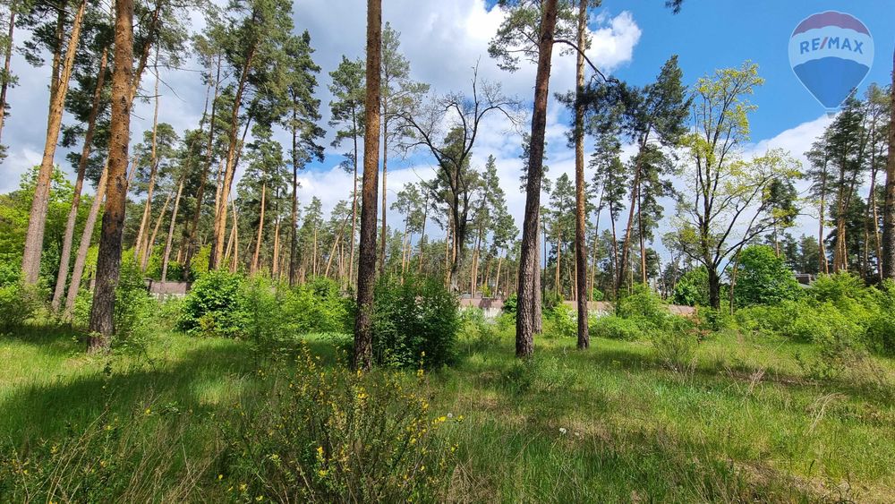 2 га | Лютіж | Асфальт | 100 кВт| Вишгородський район | під забудову