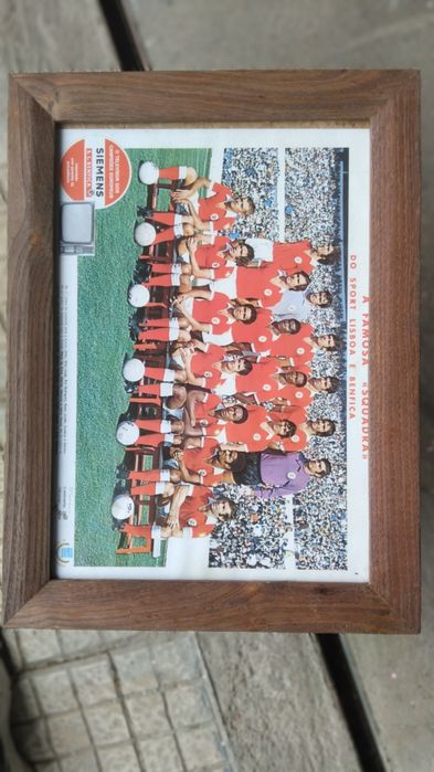 Quadro do Benfica 1982