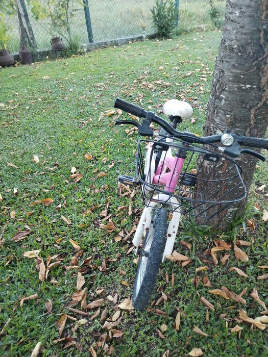 Bicicleta de Menina Nova com Cesto
