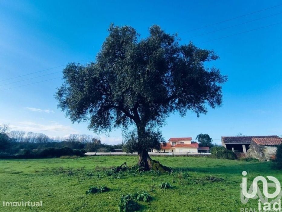Terreno para construção em Valença, Cristelo Covo e Arão