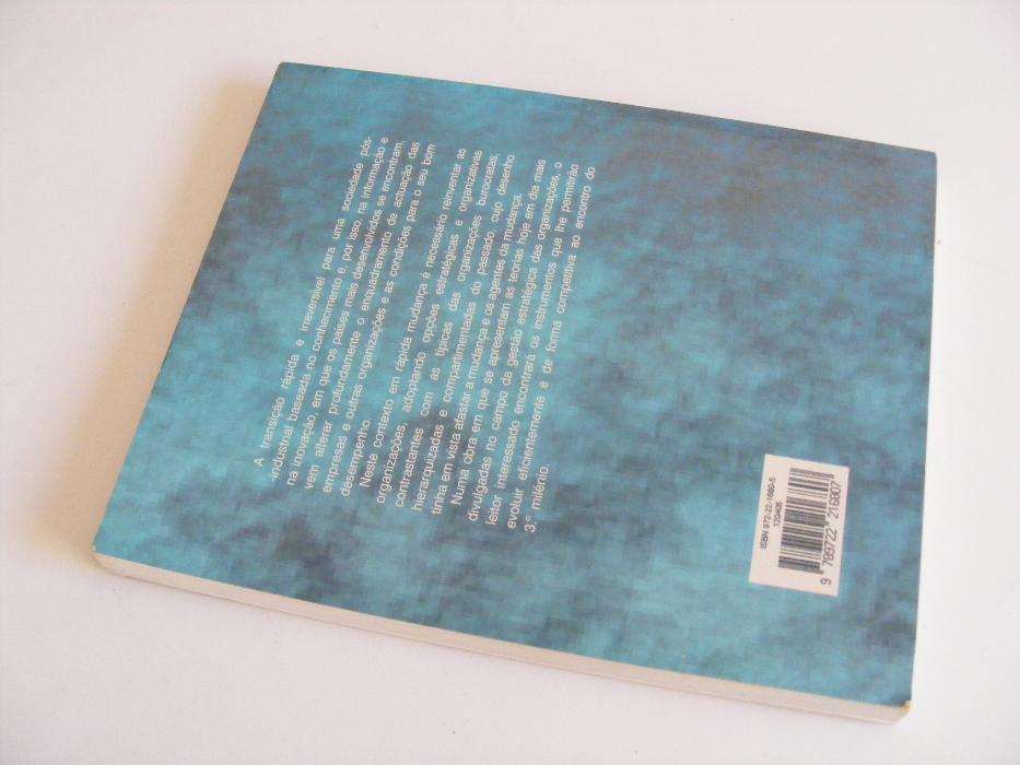 Gestão Estratégia das Organizações- Ao encontro do 3º Milénio