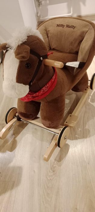 Koń na biegunach
