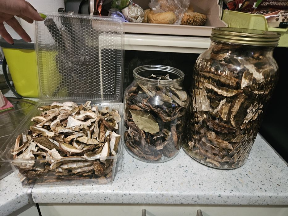 Grzyby suszone tegoroczne prawdziwki koźlak