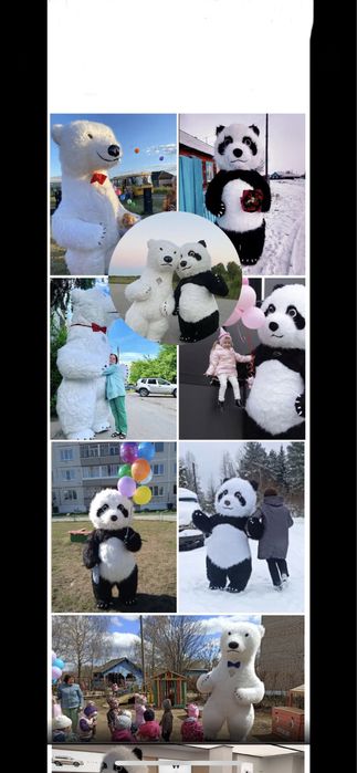 Kępno biały miś maskotka na imprezę misiu urodziny ślub Wrocław Syców