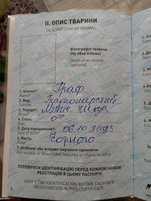 Вязка кабеля. Красавчик ищет сучечку)