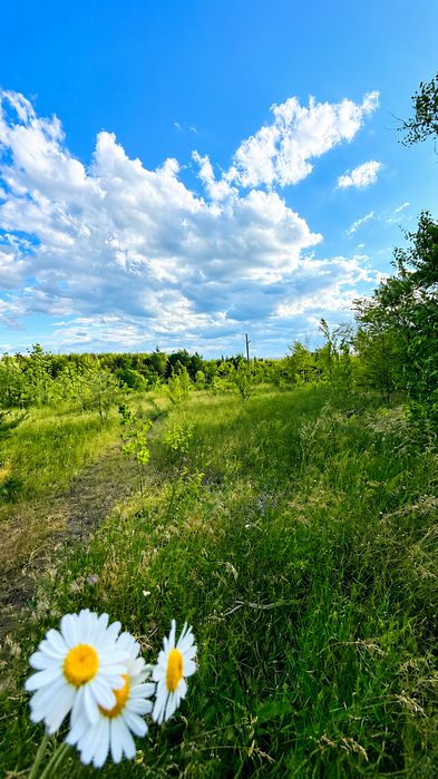 22 сотки з видом на ліс — місце, де хочеться будувати життя