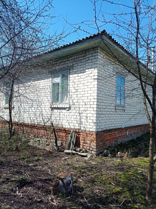 Садиба біля річки Десна. Село Ковчин.