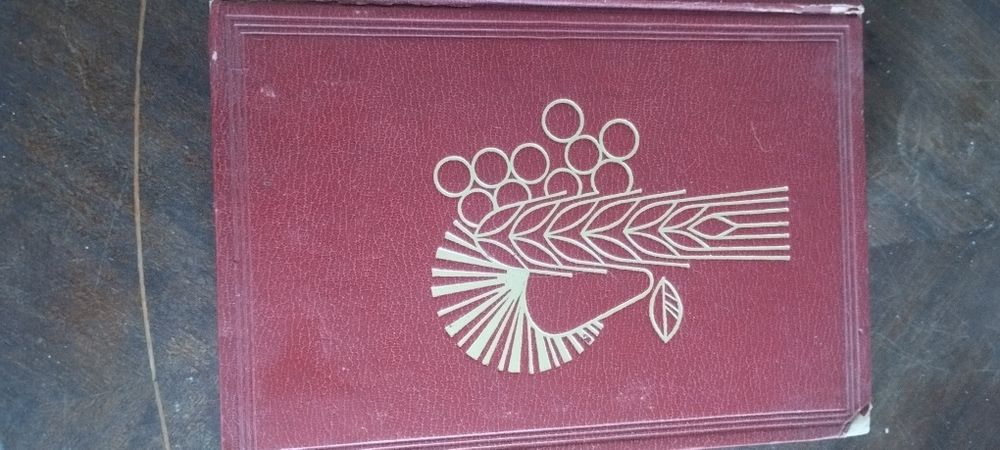 Ernest schneider a saúde pelos alimentos