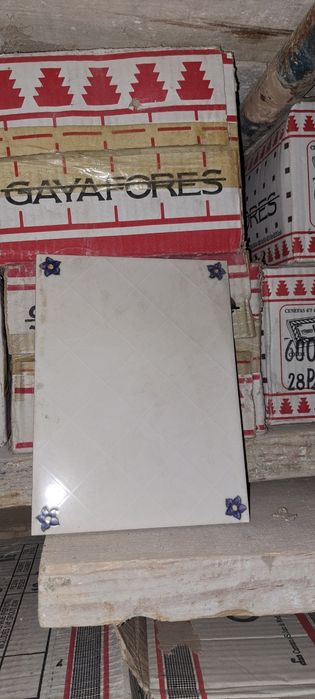 Azulejos, Pavimento Tijoleira