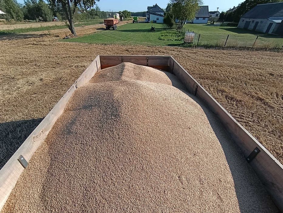 Przyczepa wywrotka skorupowa 8 ton