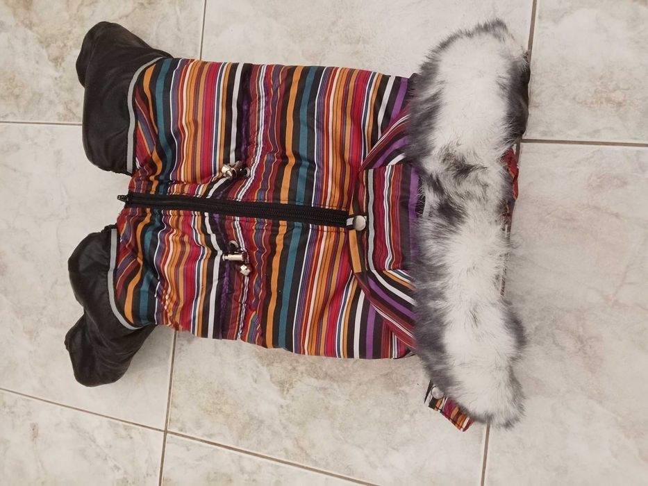 Собачий комбінезон зимовий