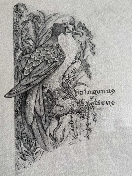 Conjunto de 6 Quadros Naturalistas - Aves Exóticas (Coleção 1982–1983)