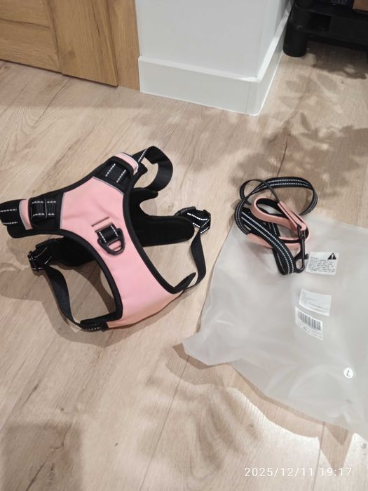 Ubranko i smycz dla psa