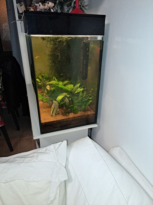 Aquario ciano 200 litro  mais móvel  termostato