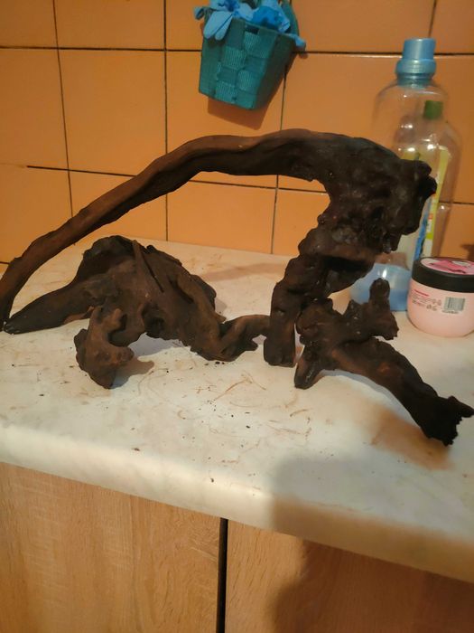 Do akwarium korzenie ładny zestaw do dekoracji dna