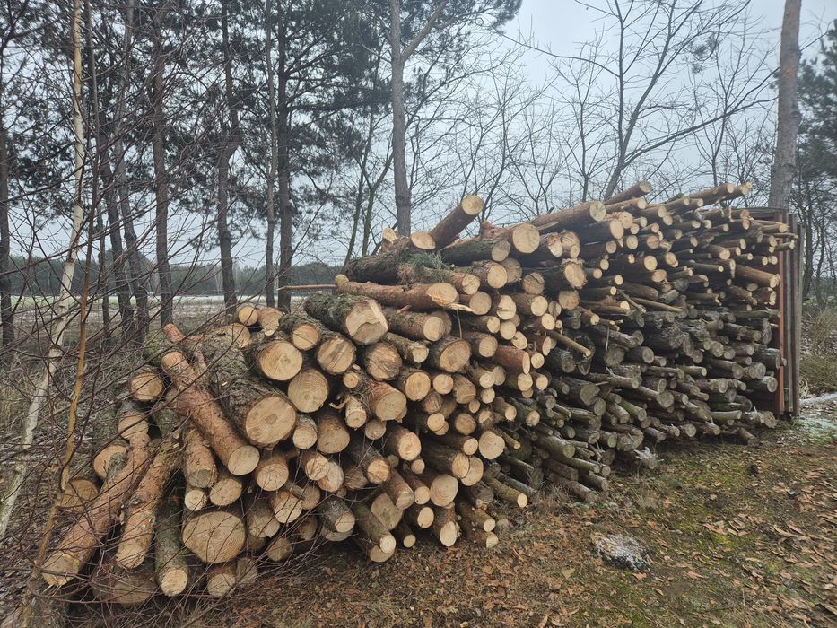 Sprzedam drzewo na opał.