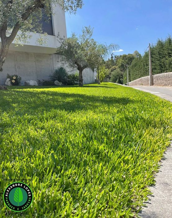 Produtor de relva natural, envios para todo o país