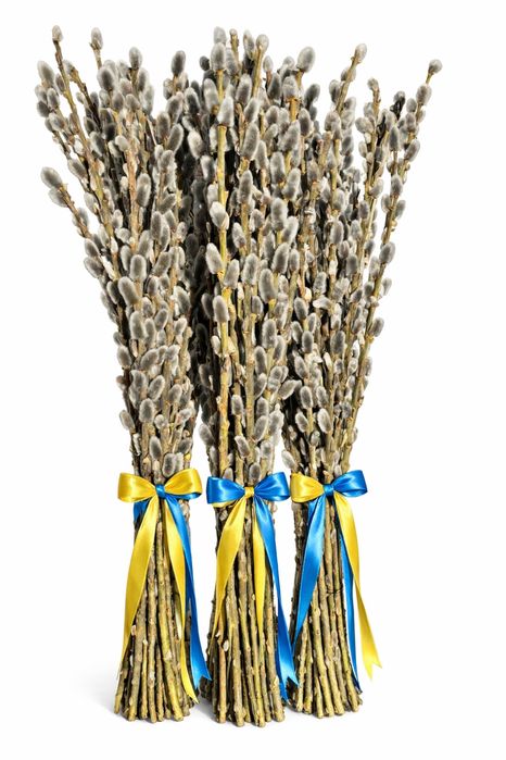 Вербові букети зі стрічкою