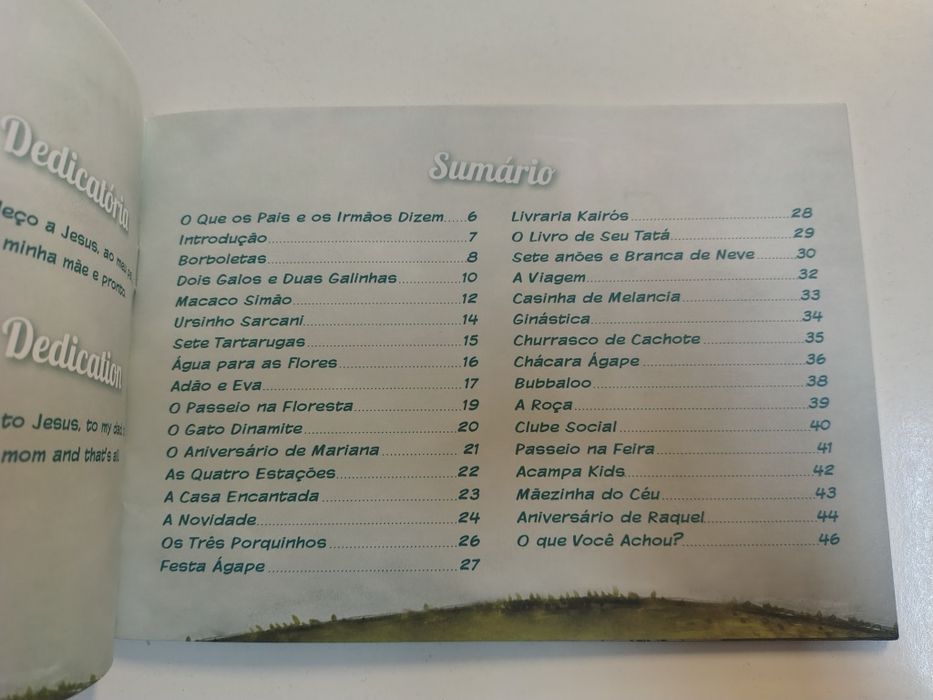 Livro infantil "Ninguém segura essa menina!"