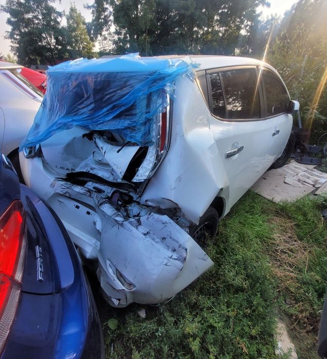 Двері Nissan Leaf