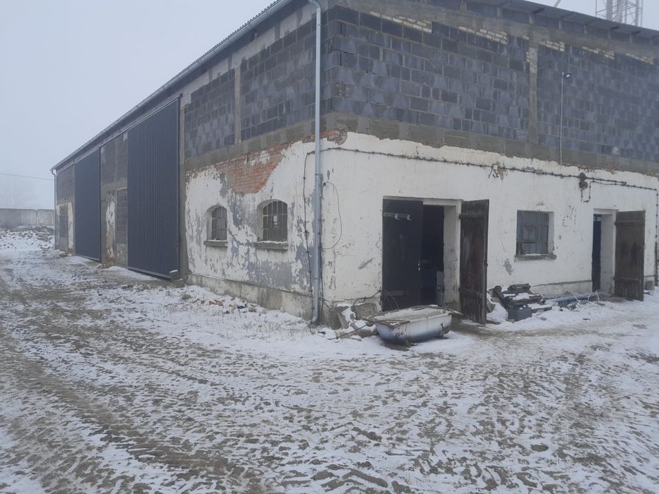 Wynajmę magazyny w  Grzybowie