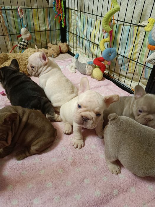 Ось така банда хлопці та дівчата