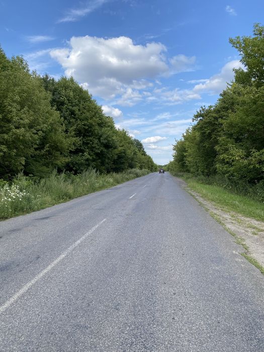 Фото ділянки