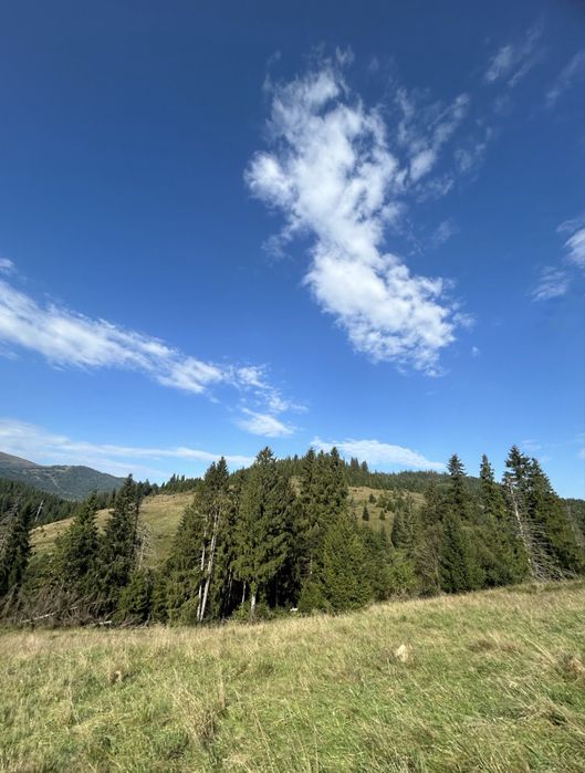 Земельна ділянка в гірськолижному селі Пилипець