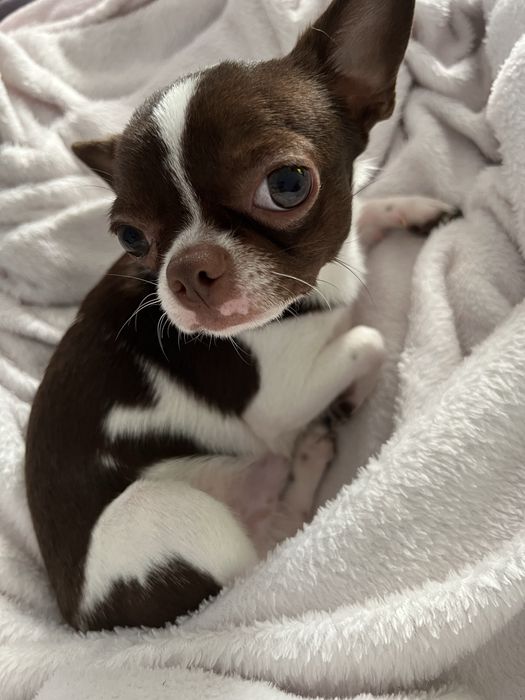 Красунчик шукаю подружку для серьозних відносин