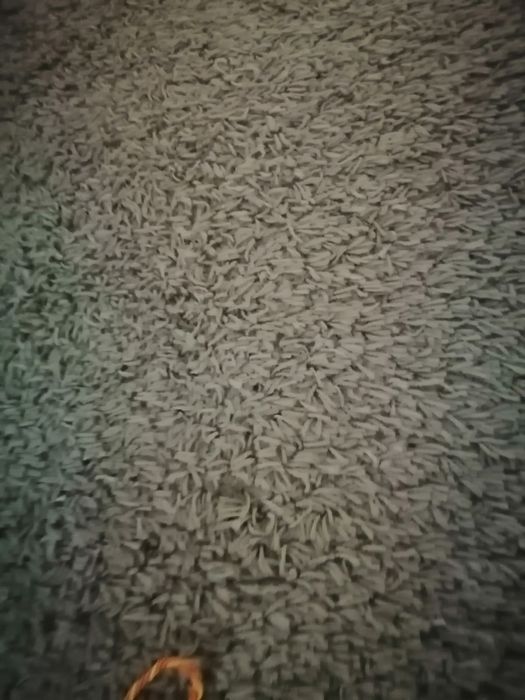 Carpete bege com pelo Raso tam 110mx160m.