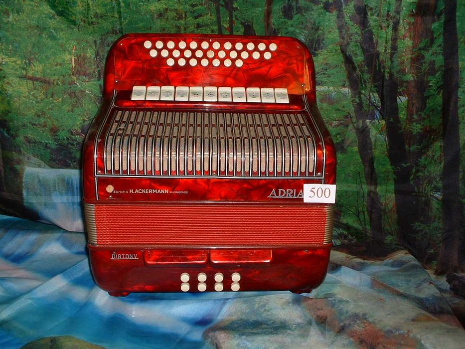 Promoção de Acordeões e  concertinas em lote