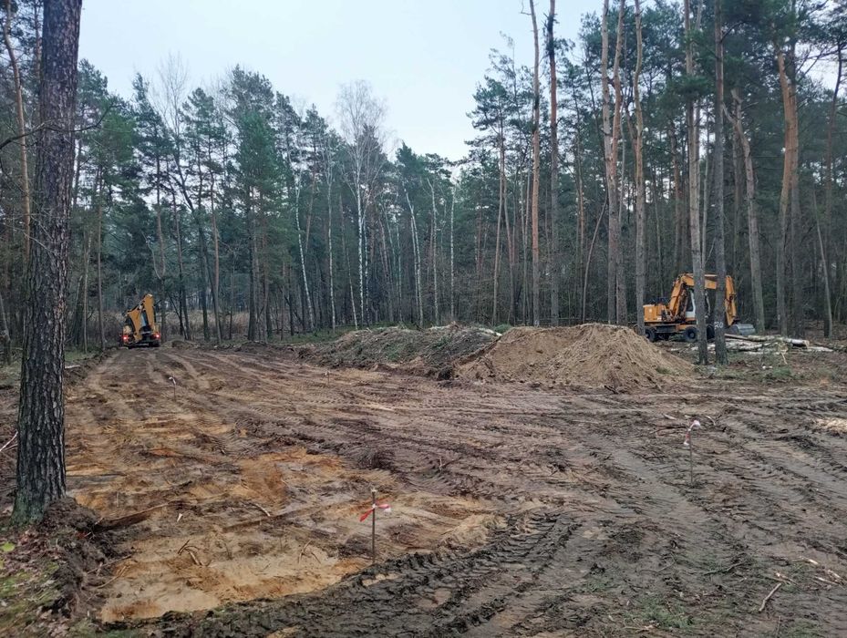 Wycinka drzew  czyszczenie działek wywóz gałęzi usuwanie karp