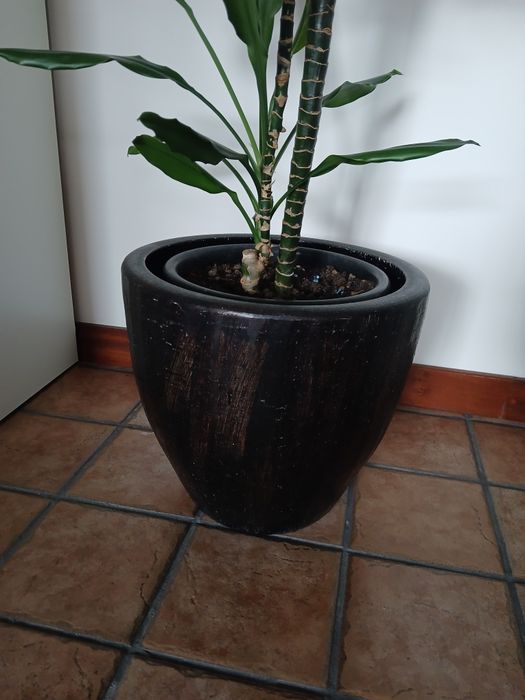 Vaso cerâmico preto