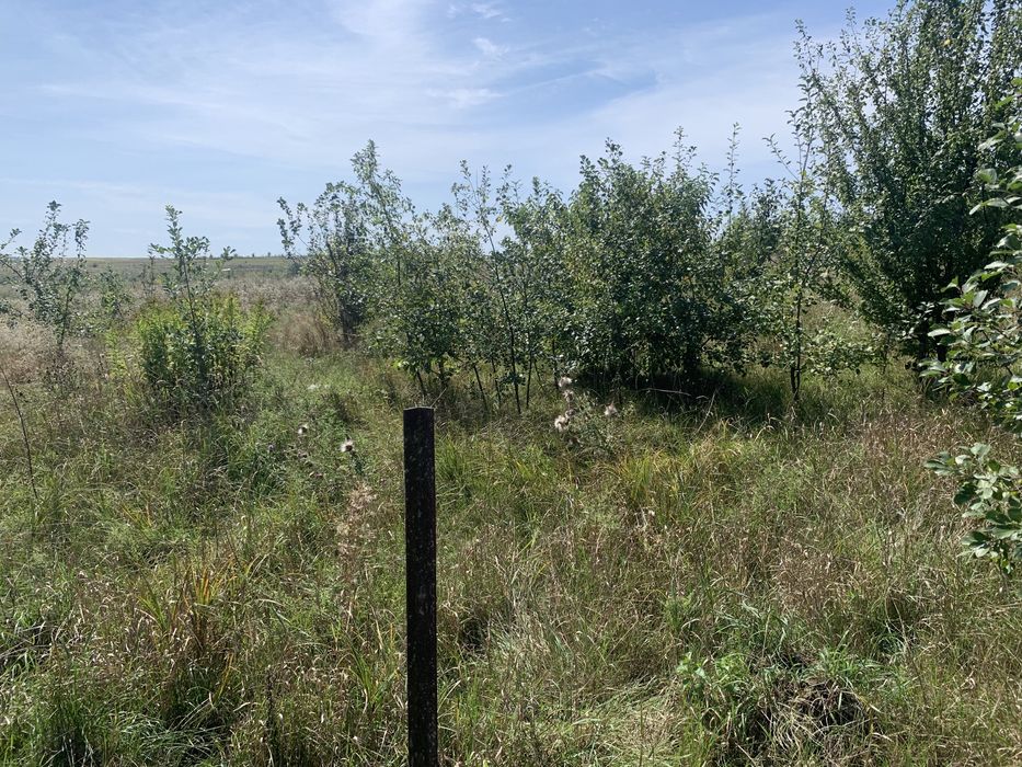 Земельна ділянка під забудову с. Прилбичі