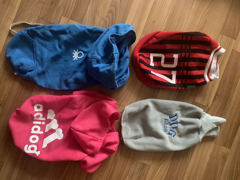 Одяг  на собак  шлеі.